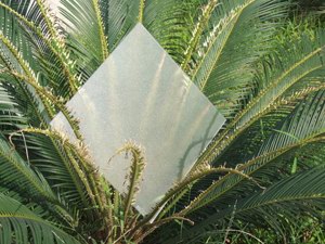 ��������´��ڲ鿴...